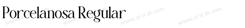 Porcelanosa Regular字体转换